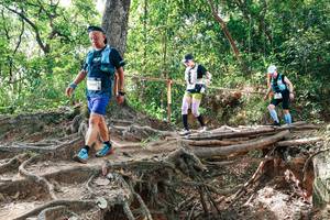 BIB: 
                            <button type="button" onclick="openModal(27718398)" class="btn btn-primary btn-sm float-right btn-popup" data-toggle="modal" data-target=".modal-high-quality">
                        <i class="fas fa-shopping-cart"></i> Add to Cart
                    </button>
                                            <button type="button" onclick="isThisMe(27718398, true)" class="btn btn-success btn-sm float-right btn-popup btn-isme hidden" data-toggle="tooltip" data-placement="bottom" title="นี่คือรูปของคุณใช่ไหม คลิกที่นี่เพื่อเอาเข้าอัลบั้ม">
                        <i class="fas fa-plus"></i> Add to album
                    </button>
                    <button type="button" onclick="isThisMe(27718398, false)" class="btn btn-warning btn-sm float-right btn-popup btn-isnotme hidden">
                        <i class="fas fa-ban"></i> Remove from album
                    </button>